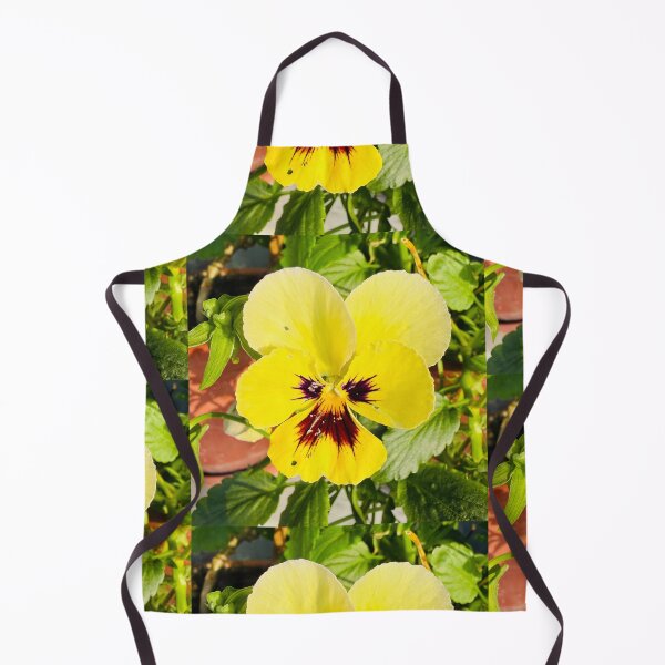 Item preview, Sunny Yellow Pansy Bloom Isolated on White designed and sold by BalkanBloom.