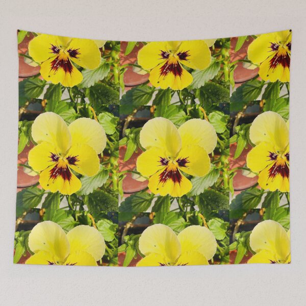 Item preview, Sunny Yellow Pansy Bloom Isolated on White designed and sold by BalkanBloom.