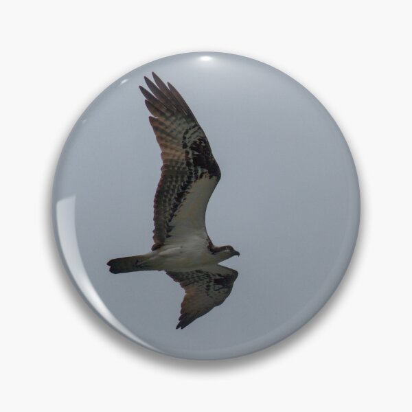 Item preview, Osprey Flyover designed and sold by LochSquatch Creations.