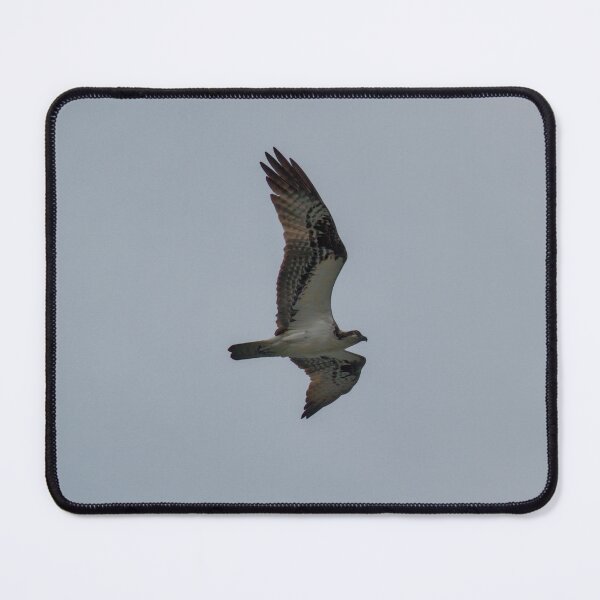 Item preview, Osprey Flyover designed and sold by LochSquatch Creations.