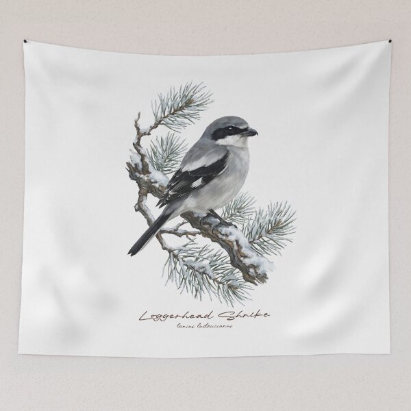 Item preview, Loggerhead Shrike on Snowy Pine Tree designed and sold by Takeda-art.