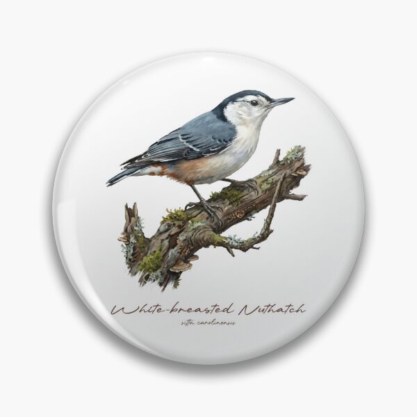 Item preview, White-breasted Nuthatch on Mossy Branch designed and sold by Takeda-art.