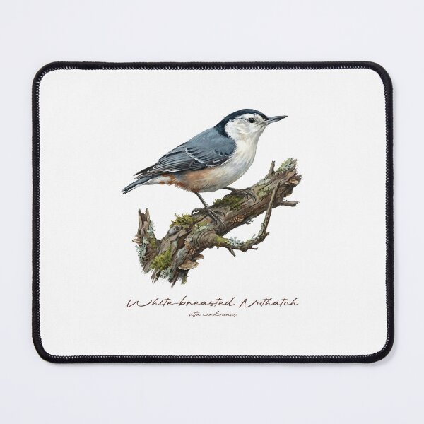 Item preview, White-breasted Nuthatch on Mossy Branch designed and sold by Takeda-art.