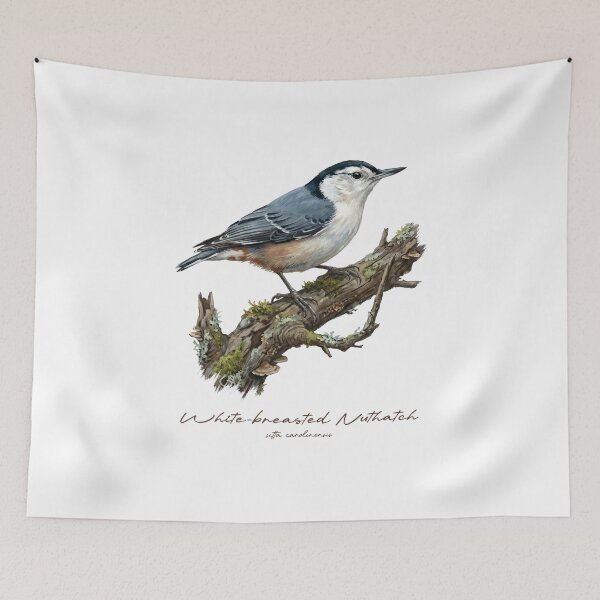 Item preview, White-breasted Nuthatch on Mossy Branch designed and sold by Takeda-art.