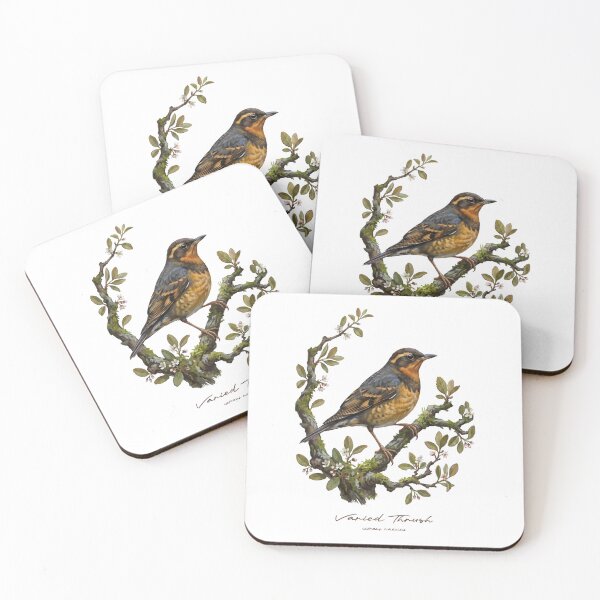 Item preview, Varied Thrush on Flowery Branch designed and sold by Takeda-art.