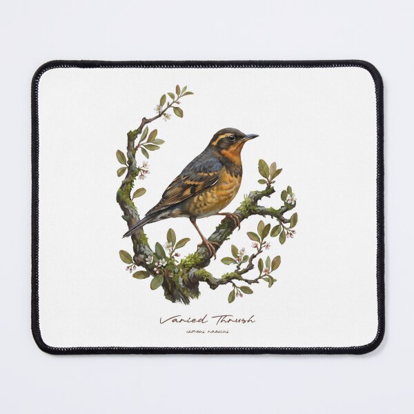 Item preview, Varied Thrush on Flowery Branch designed and sold by Takeda-art.