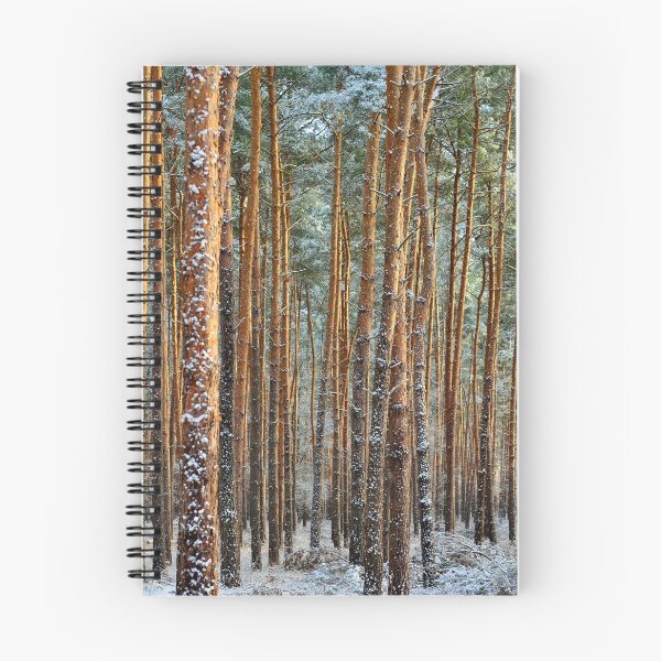 Artikelvorschau, Winterwald entworfen und verkauft von AsahiNoAme.