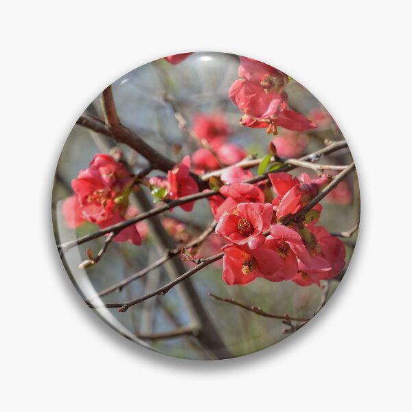 Item preview, Red pring flowers designed and sold by AsahiNoAme.
