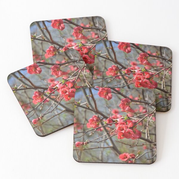 Item preview, Red pring flowers designed and sold by AsahiNoAme.