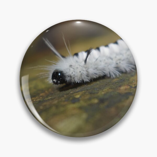 Item preview, Fluffy White Caterpillar Macro | Nature Close-Up Photography designed and sold by PrezSwan.