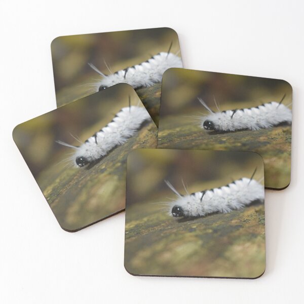 Item preview, Fluffy White Caterpillar Macro | Nature Close-Up Photography designed and sold by PrezSwan.