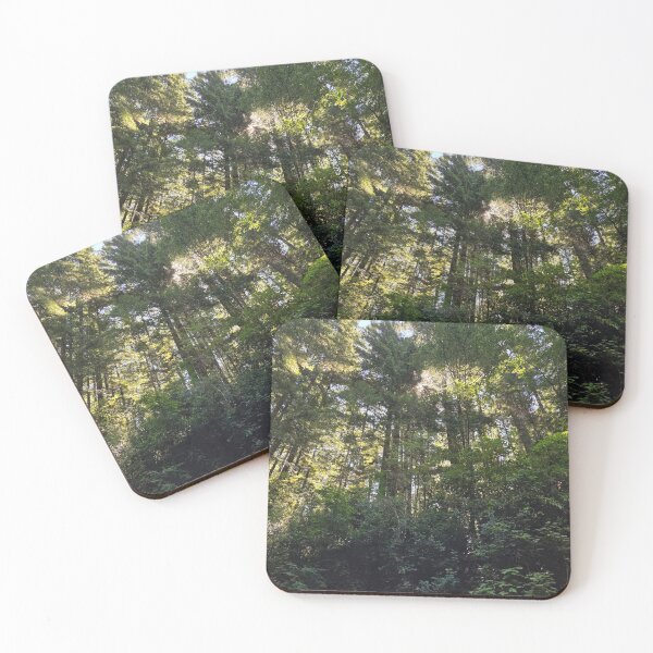 Item preview, Quiet Strength: the forest sanctuary designed and sold by making it groovy. .