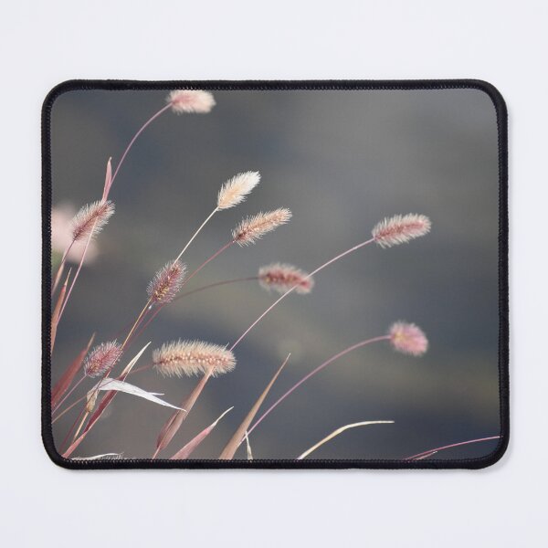 Item preview, Soft Wild Grasses in Morning Light | Dreamy Nature Photography designed and sold by PrezSwan.