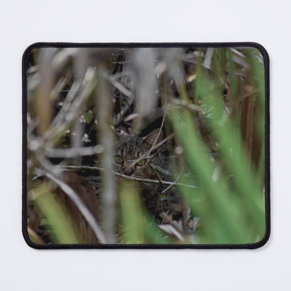 Item preview, Kitty In The Weeds designed and sold by LochSquatch Creations.