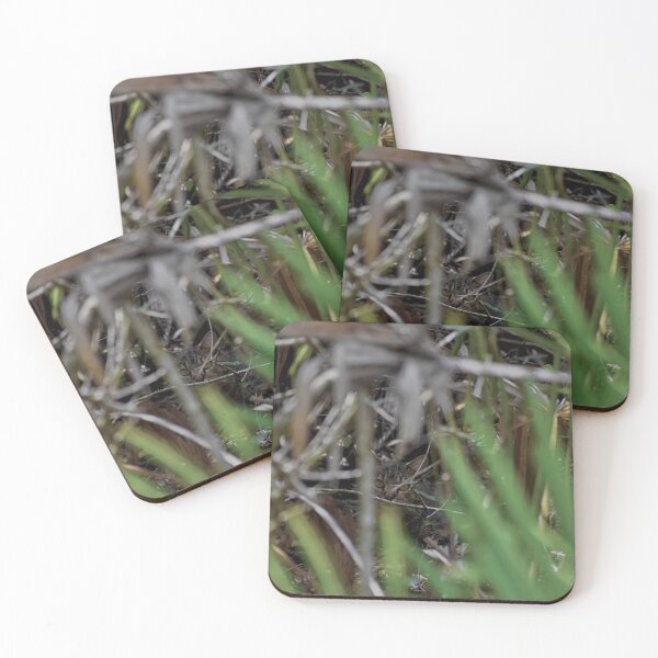 Item preview, Kitty In The Weeds designed and sold by LochSquatch Creations.