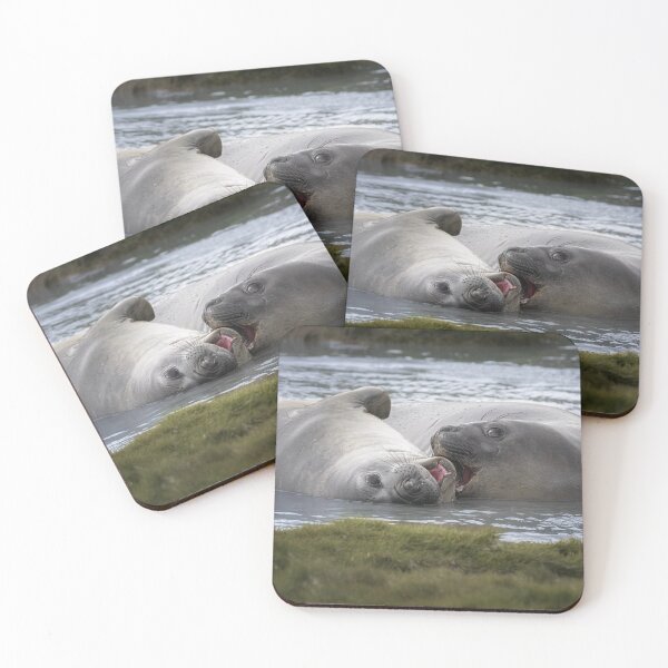 Item preview, Elephant Seals South Georgia Island designed and sold by PhotoArt by Joan Carroll.