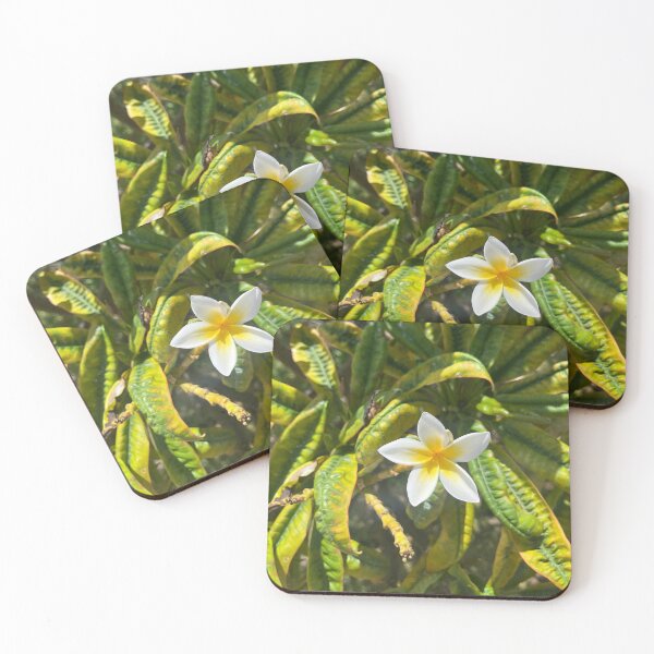 Item preview, Hawaii 48 designed and sold by brookehthomson.