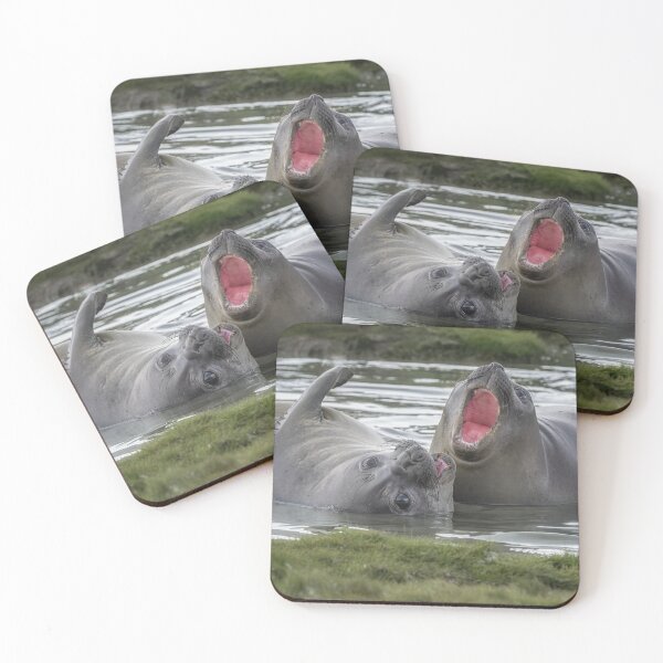 Item preview, Elephant Seals South Georgia Island 2 designed and sold by PhotoArt by Joan Carroll.