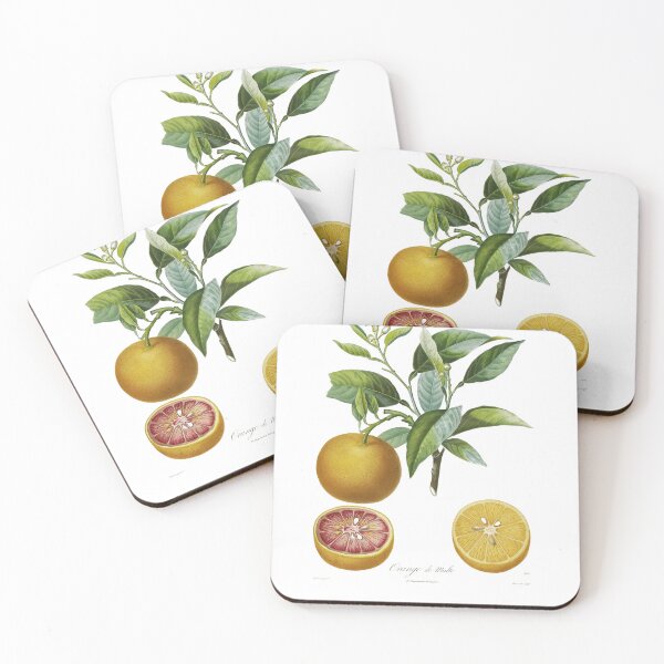 Item preview, Maltese orange designed and sold by PoiteauBotaniste.