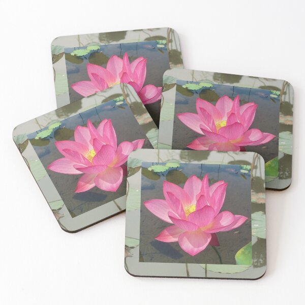 Item preview, Beautiful Lotus Bloomed in a Pond designed and sold by DeepikaKrishna.