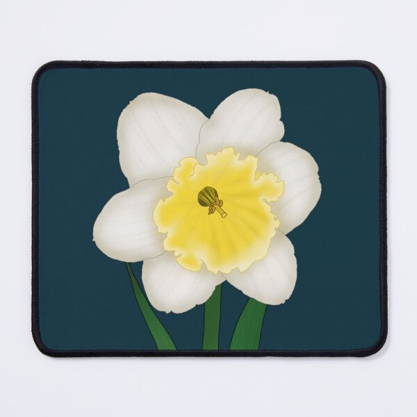 Item preview, Ice Follies Daffodil  designed and sold by Floralfusion.