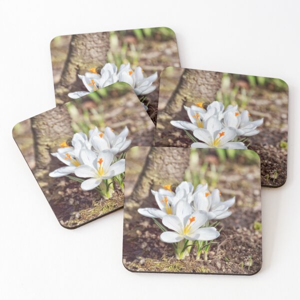 Item preview, White crocuses designed and sold by AsahiNoAme.
