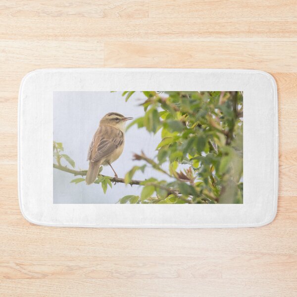 Item preview, Sedge Warbler designed and sold by LaurenTucker.