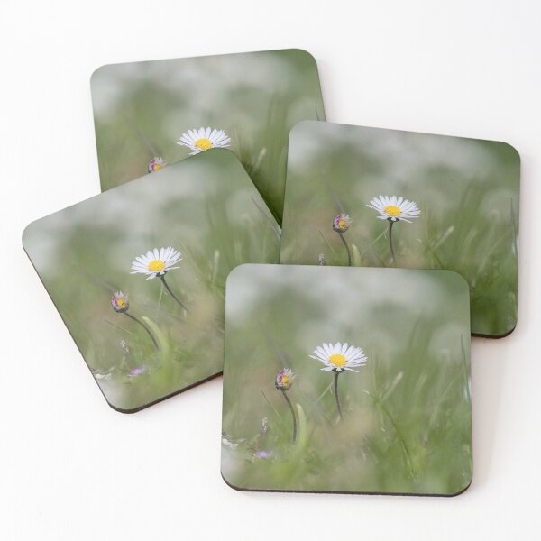 Item preview, Field of Daisies designed and sold by LaurenTucker.