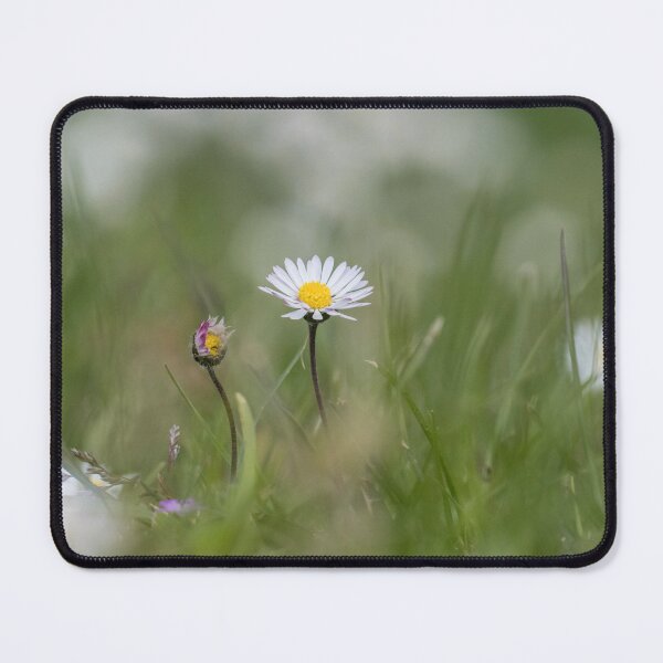 Item preview, Field of Daisies designed and sold by LaurenTucker.