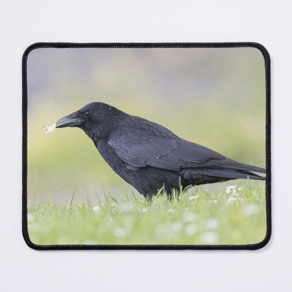 Item preview, Carrion Crow designed and sold by LaurenTucker.