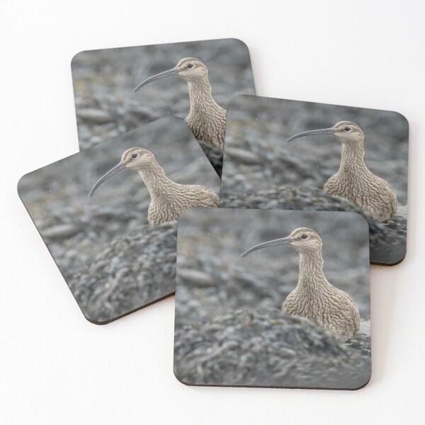 Item preview, Eurasian Whimbrel designed and sold by LaurenTucker.