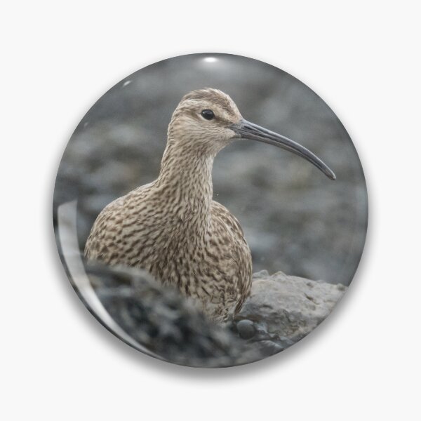 Item preview, Eurasian Whimbrel designed and sold by LaurenTucker.