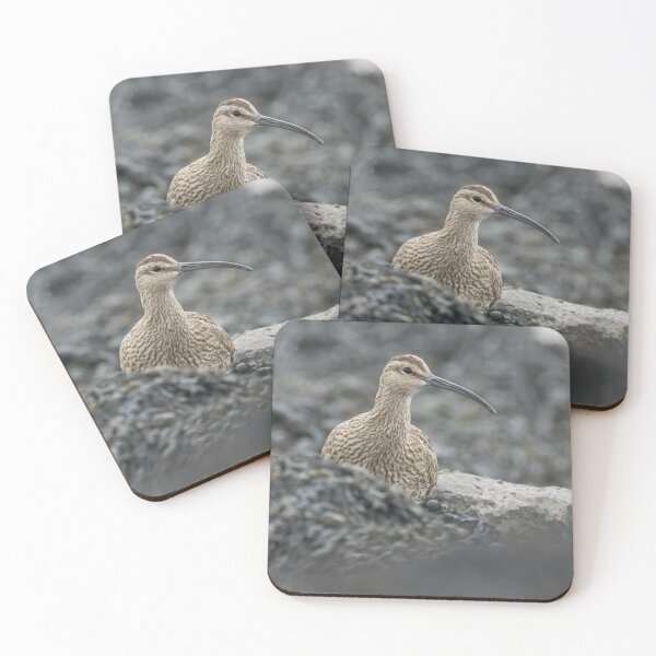 Item preview, Eurasian Whimbrel designed and sold by LaurenTucker.