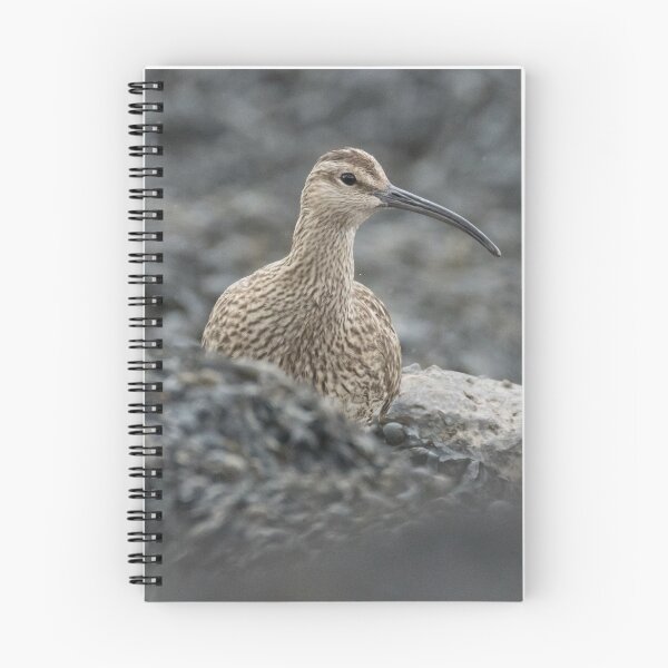 Item preview, Eurasian Whimbrel designed and sold by LaurenTucker.