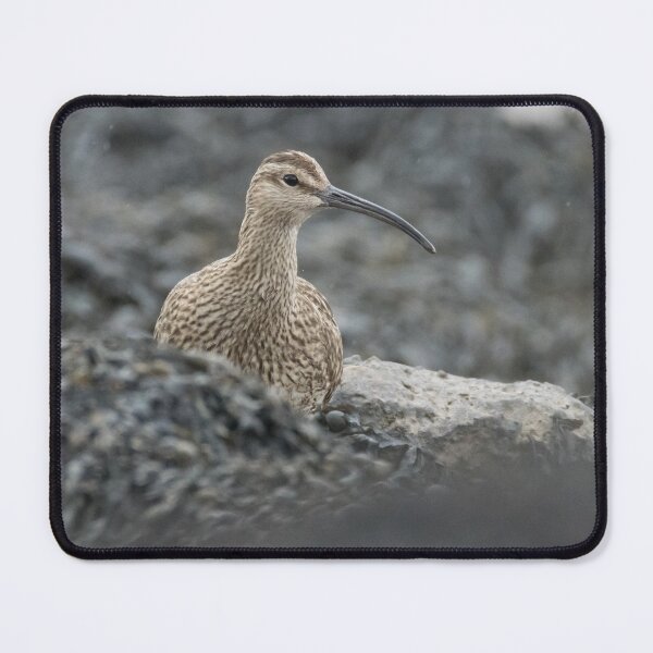 Item preview, Eurasian Whimbrel designed and sold by LaurenTucker.