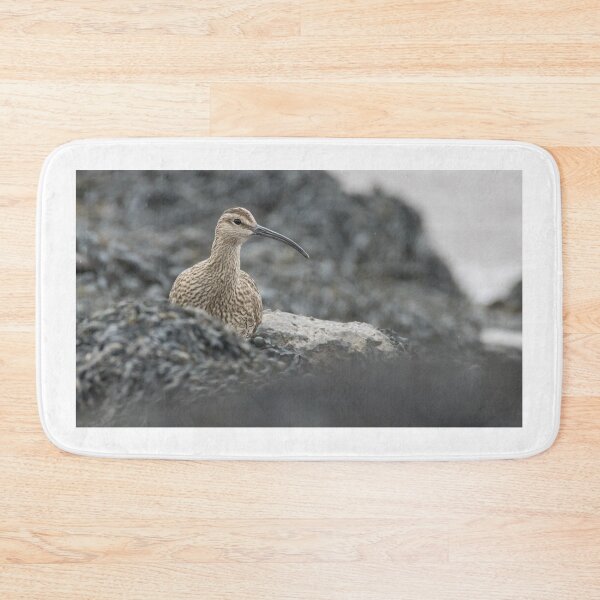 Item preview, Eurasian Whimbrel designed and sold by LaurenTucker.