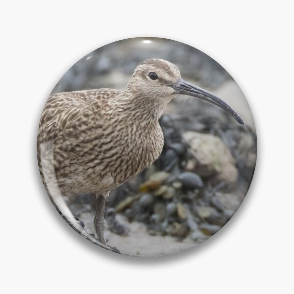 Item preview, Eurasian Whimbrel designed and sold by LaurenTucker.