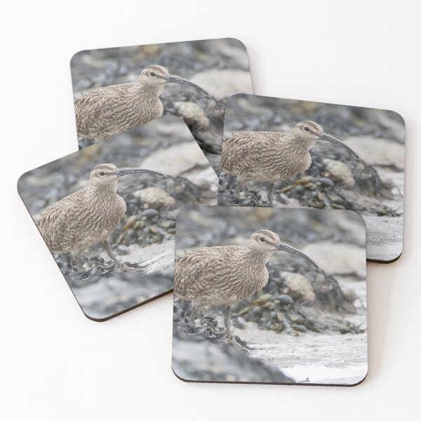 Item preview, Eurasian Whimbrel designed and sold by LaurenTucker.