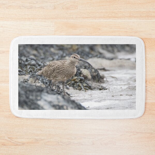Item preview, Eurasian Whimbrel designed and sold by LaurenTucker.