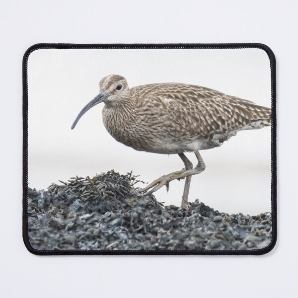 Item preview, Eurasian Whimbrel designed and sold by LaurenTucker.