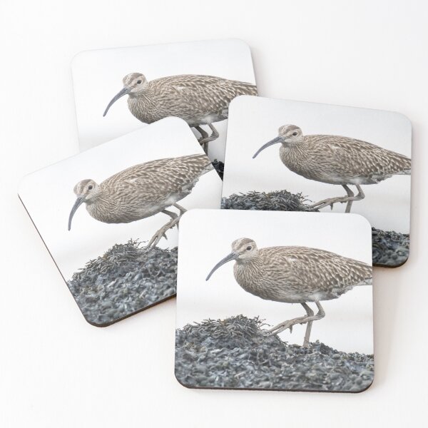 Item preview, Eurasian Whimbrel designed and sold by LaurenTucker.