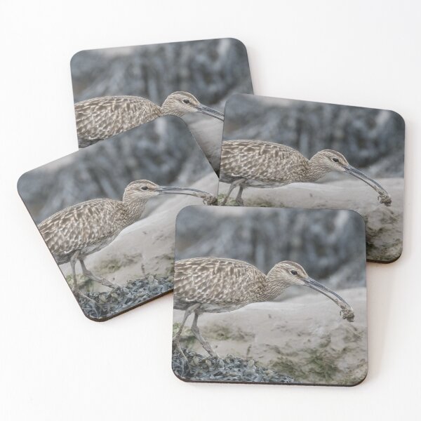 Item preview, Eurasian Whimbrel designed and sold by LaurenTucker.