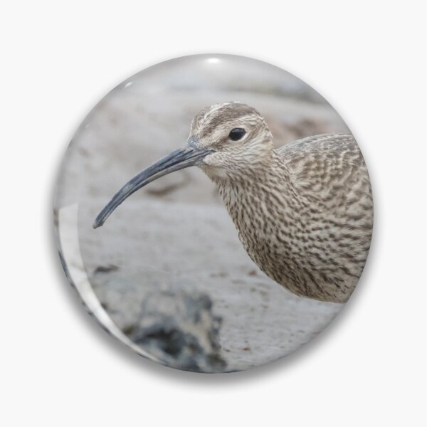 Item preview, Eurasian Whimbrel designed and sold by LaurenTucker.