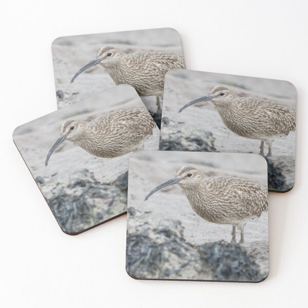 Item preview, Eurasian Whimbrel designed and sold by LaurenTucker.