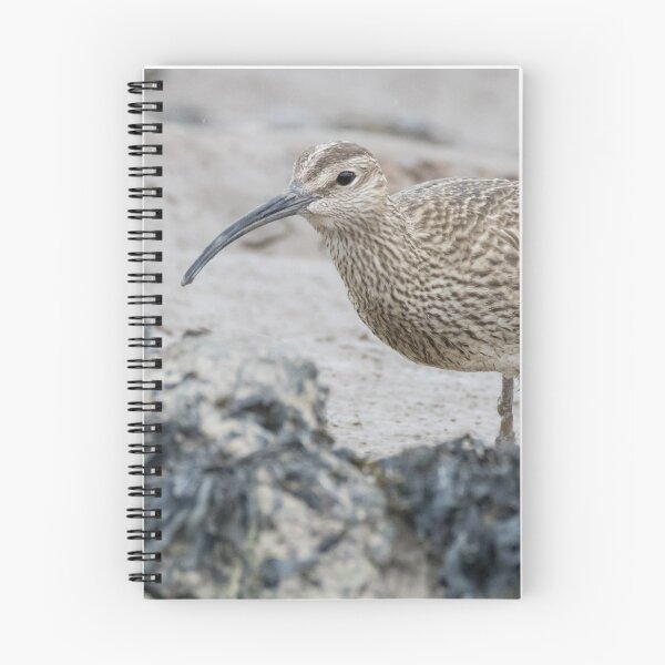 Item preview, Eurasian Whimbrel designed and sold by LaurenTucker.