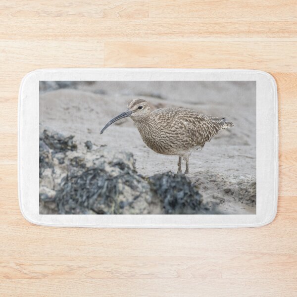 Item preview, Eurasian Whimbrel designed and sold by LaurenTucker.
