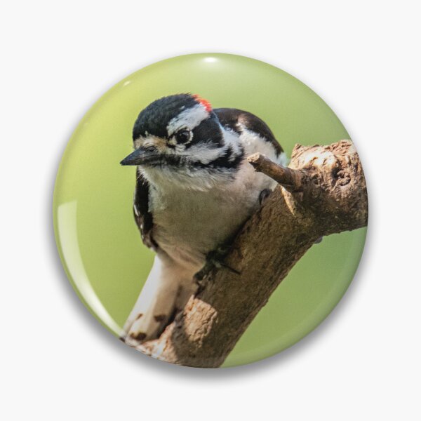 Artikelvorschau, Dunenspecht entworfen und verkauft von The Birding Elf.