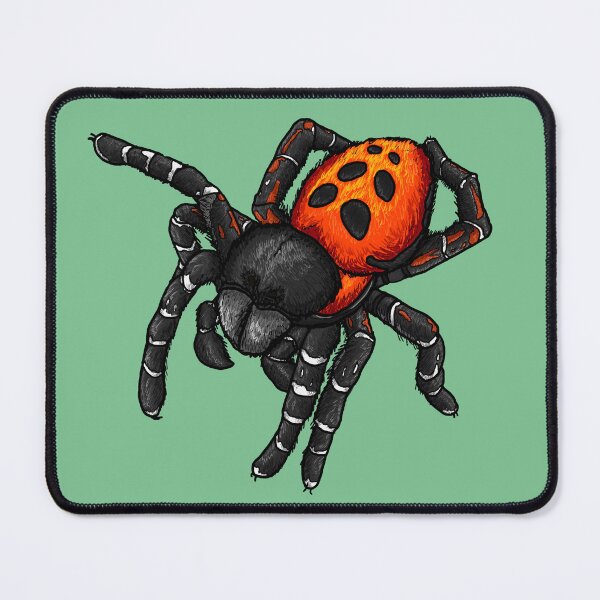 Item preview, Ladybird Spider designed and sold by JoyHappySpiders.