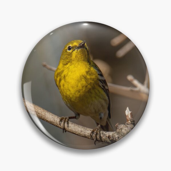 Item preview, Pine Warbler designed and sold by The Birding Elf.