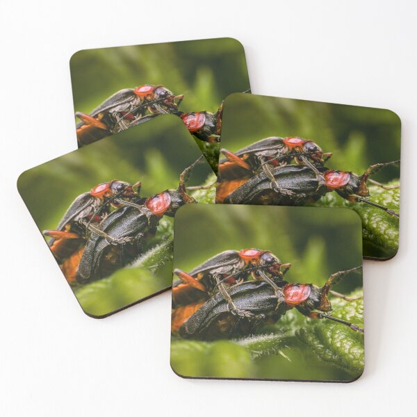 Item preview, The Encounter — Soldier Beetles Mating Up Close designed and sold by Rabee Khalil Photography.